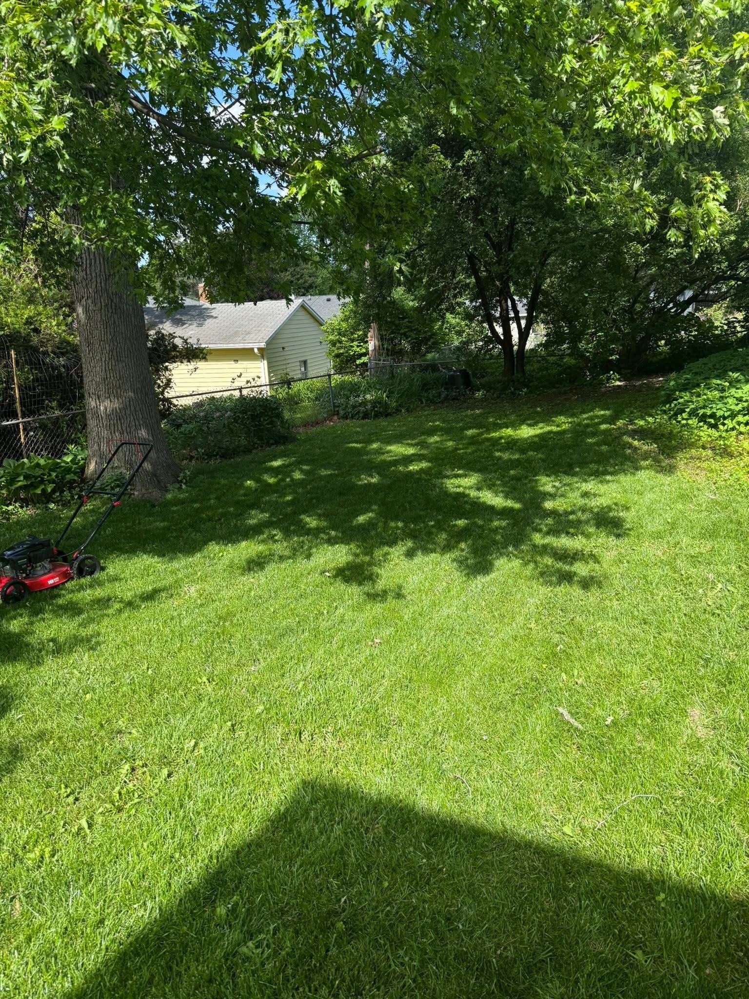 Lawn photo 2
