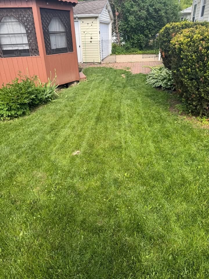 Lawn photo 4
