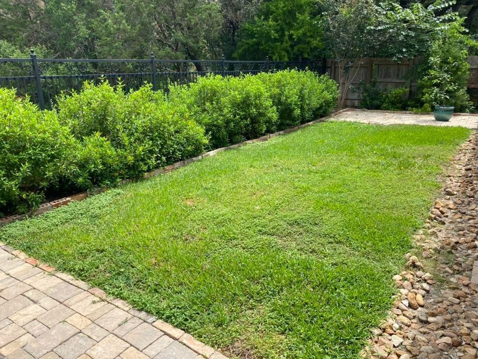 Lawn photo 5