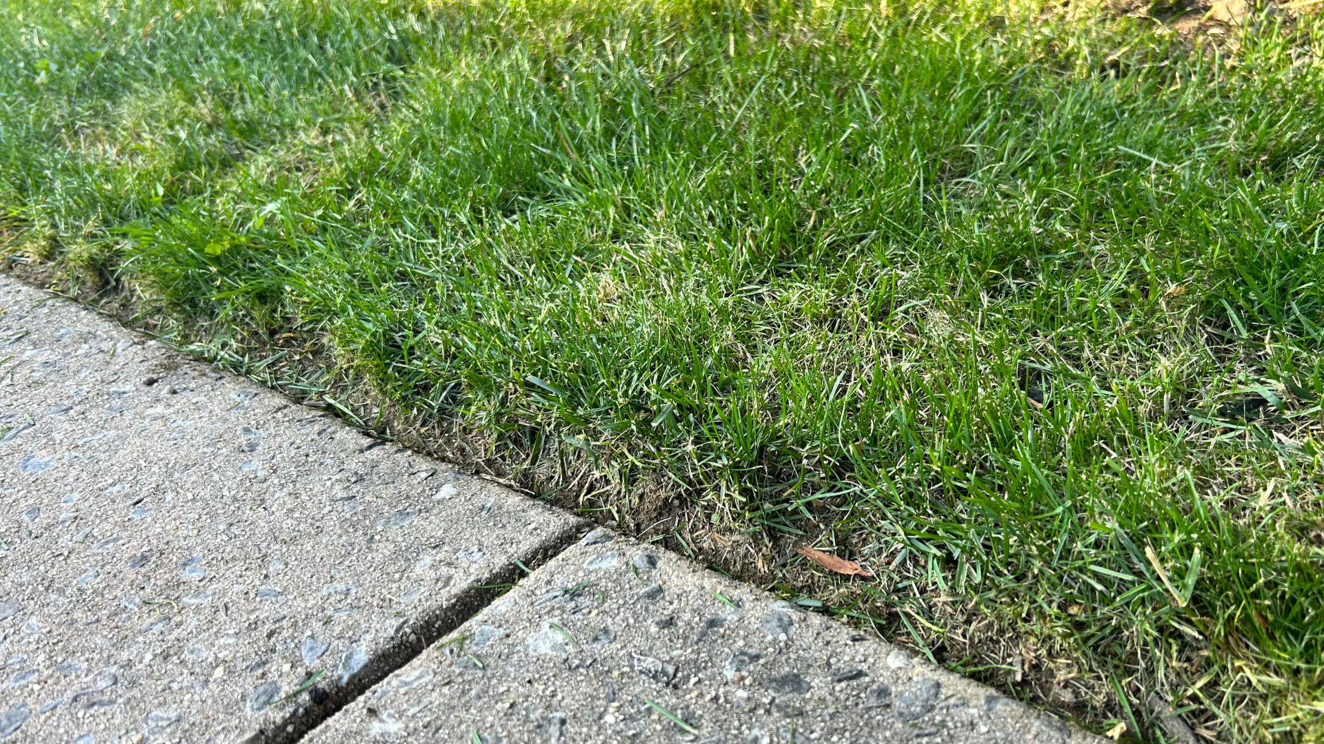 After lawn sample
